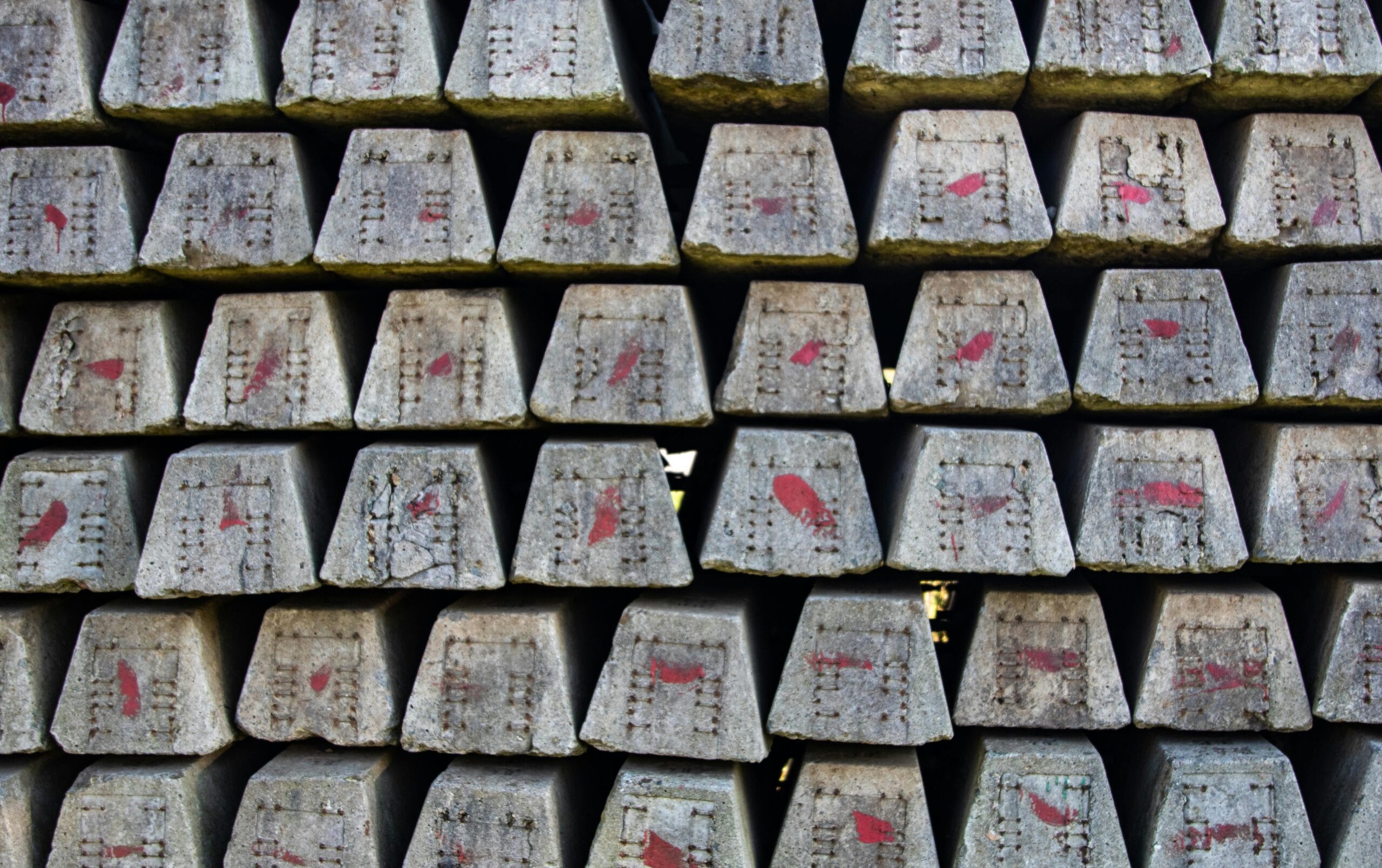 pexels-magda-ehlers-pexels-9685872